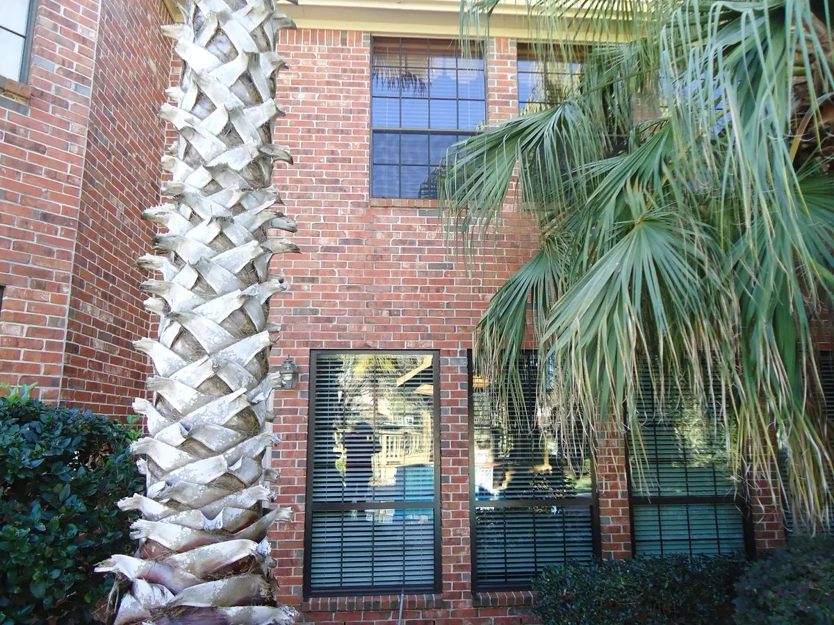 Installed Don Young bronze windows